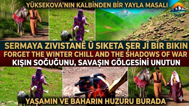 Kışın Soğuğunu, Savaşın Gölgesini Unutun: Baharın Ve Yaşamın Kalbine Yolculuk
