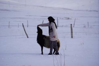 GÜRPINAR’DA BİR SEVGİ MUCİZESİ: ANNESİ ÖLDÜ, "ESMER"İ ANNE BİLDİ!