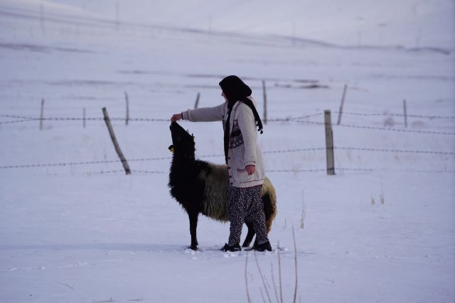 GÜRPINAR’DA BİR SEVGİ MUCİZESİ: ANNESİ ÖLDÜ, "ESMER"İ ANNE BİLDİ!